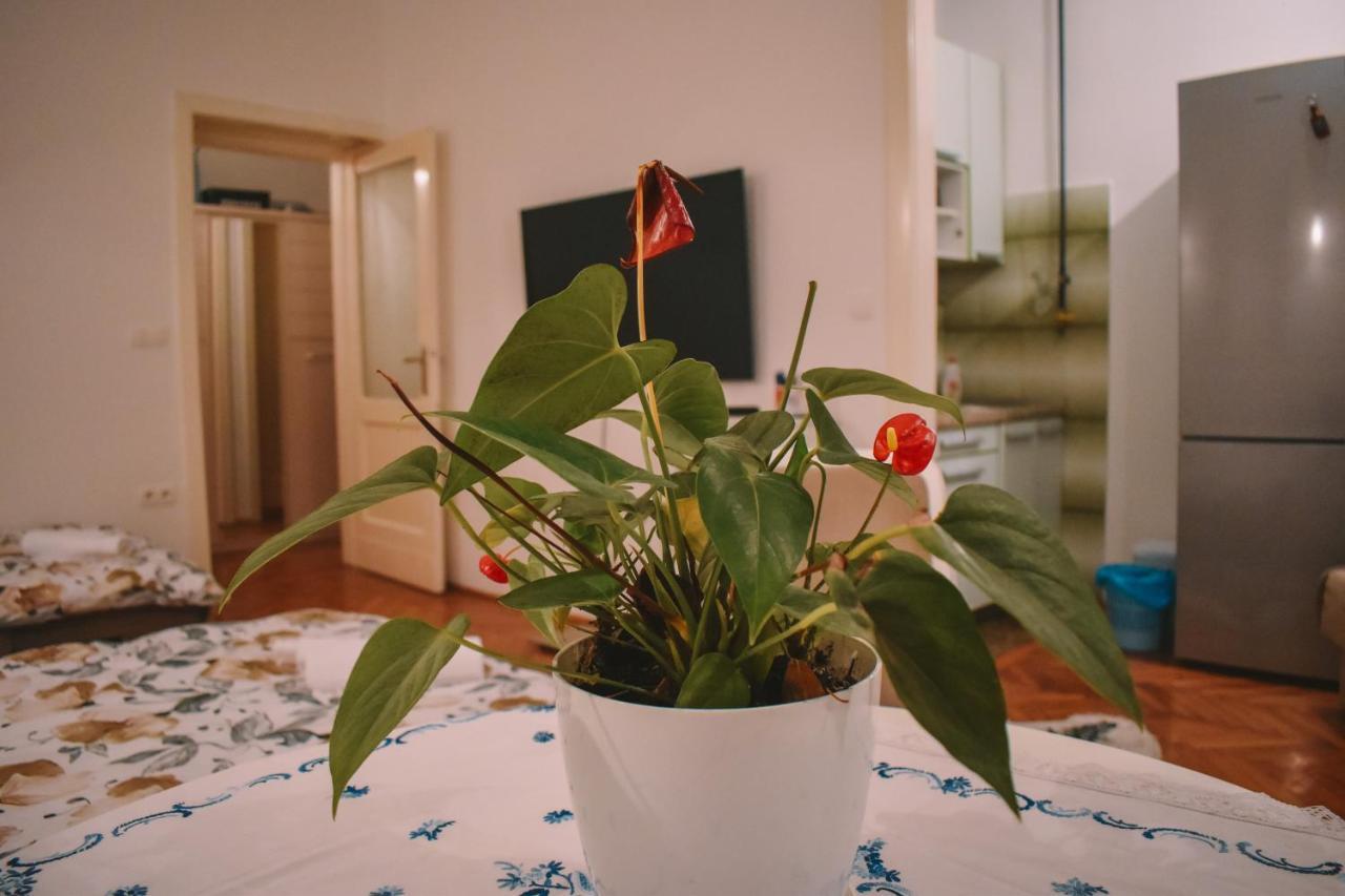 Nina Apartment سراييفو المظهر الخارجي الصورة